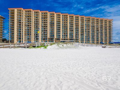 24400 Perdido Beach Blvd #17