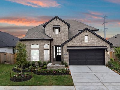 10714 Yellow Wild Indigo Ln