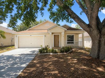 Property at 204 Chardonnay Pl, Valrico, FL