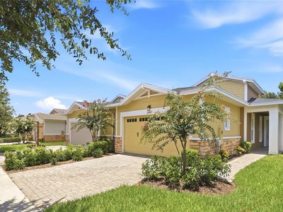 2447 Yellow Brick Rd