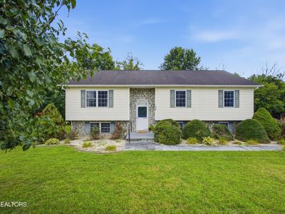 34 Shane St
