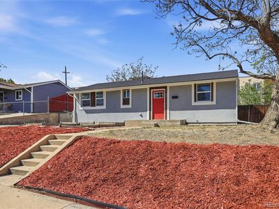 81 Bowie Court