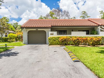 9223 Pecky Cypress #10a