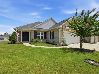 111 Hornet Ln
