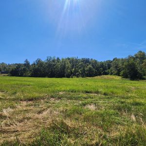 229 Bob Walker Rd