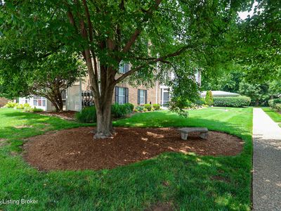 705 Donard Park Ave