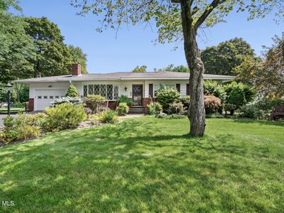 11 Weiser Street