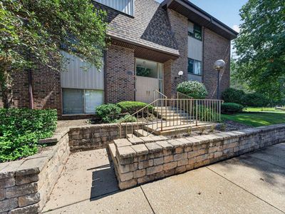 1447 Wildflower Way APT 204