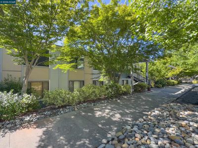 3349 Golden Rain Rd APT 15