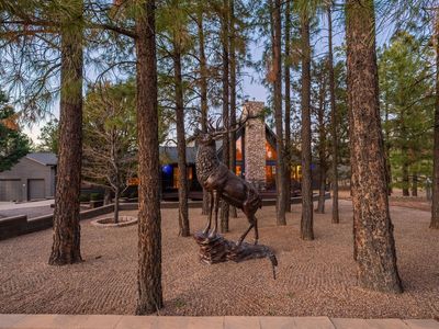 2214 Mountain Lion Ln