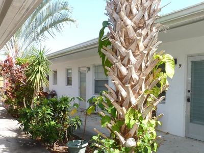 1746 3rd Ave N APT 2