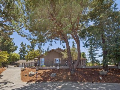 35 Silk Tree Pl