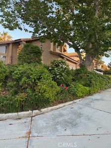 30103 Desert Rose Dr
