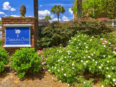 415 Parkdale Dr APT 16B