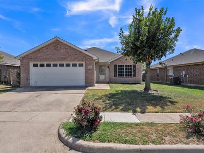 808 Flamingo Dr