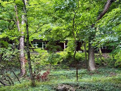 1549 W Sunrise Mountain Rd