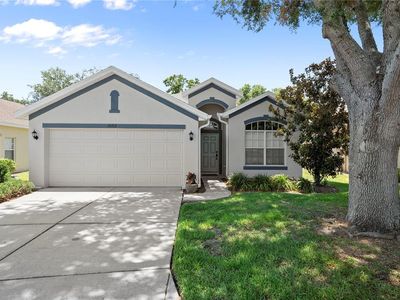 16712 Caracara Ct
