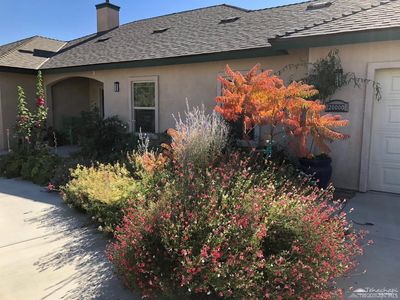 20000 Bald Mountain Dr