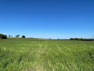 Property at New Haven Site Rd #19, Pine Island, MN