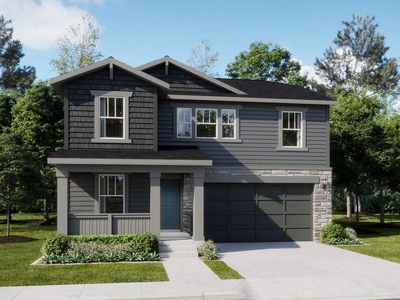 Marigold Plan, Percheron : The Petal Collection