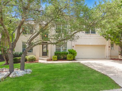 19531 Clay Oak