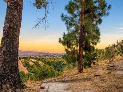 12229 Alta Trl