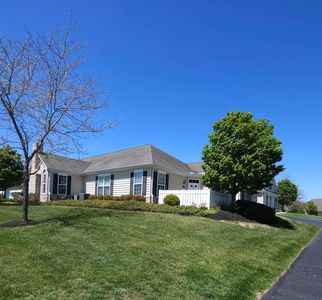 85 Revolution Cir #85