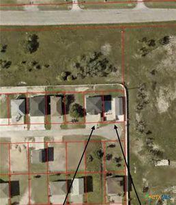 165 Whooping Crane St