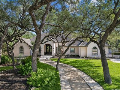 327 Pagoda Oak
