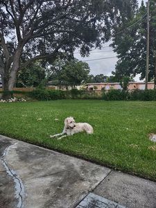Property at 268 Bayberry Dr, Lake Park, FL