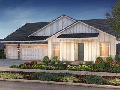 Vertex Plan, Nevina-a Trilogy Boutique Community