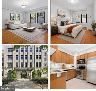 1613 Harvard St NW APT 114