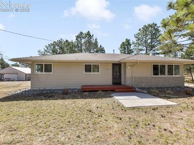 11165 Pine Meadows Rd