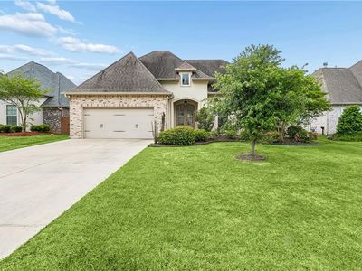 1064 Fox Sparrow Loop