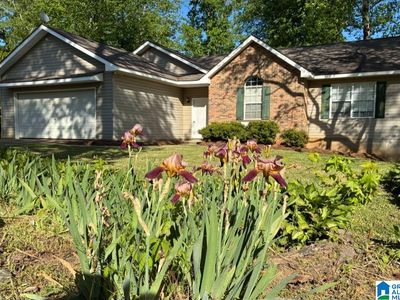 2537 Bluff Valley Rd