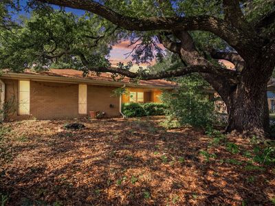 104 Forest Ln