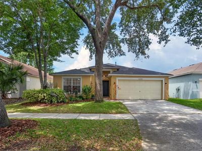 15433 Osprey Glen Dr