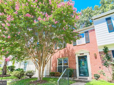 6566 Yadkin Ct