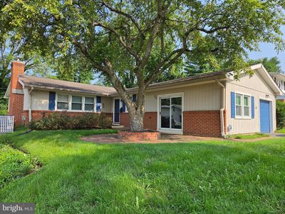6 Windflower Dr