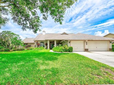 6517 THOROUGHBRED LOOP