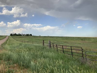 4667 County Road 129