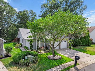 1635 Lacebark Court
