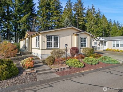 14 Christmas Tree Lane