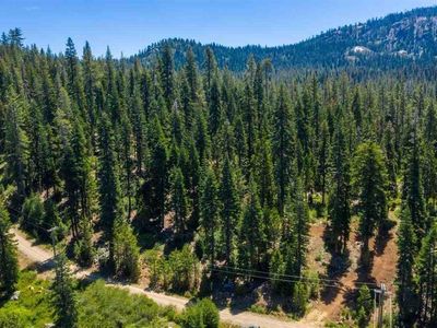 Property at 258 Bucks Meadow Dr, Bucks Lake, CA