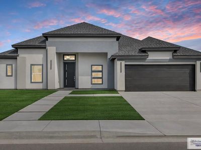6277 King Palm