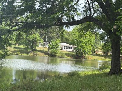 691 County Road 3310