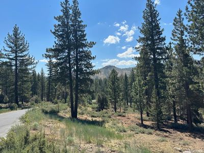 Property at 2 Raymond View Rd, Markleeville, CA