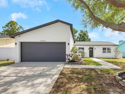12909 Pine Way Dr