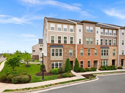 25284 Gray Poplar Ter