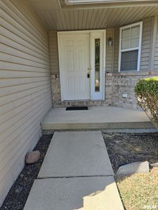 Property at 19 Hawks Nest, Chatham, IL